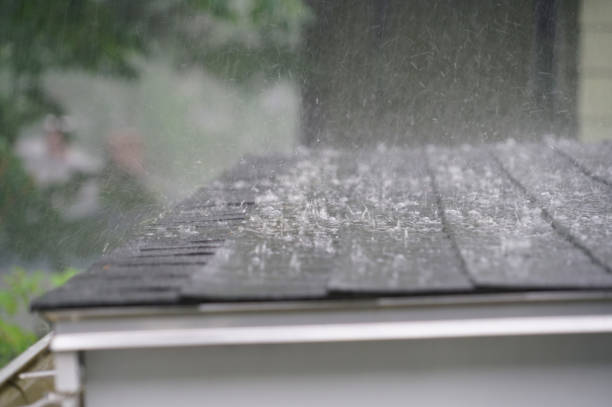 Best Roof Maintenance and Cleaning  in Spring City, UT
